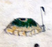 Earth Lodge