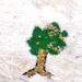 Trees Planted