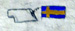 Political Science Class Uses Interactive Video to link a class in Sweden