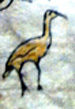 1996 Blizzards cause extraordinary sandhill cranes mortality