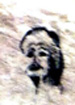 Buffalo Bill Cody Visits Omaha