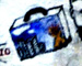 Indian Relocation Act