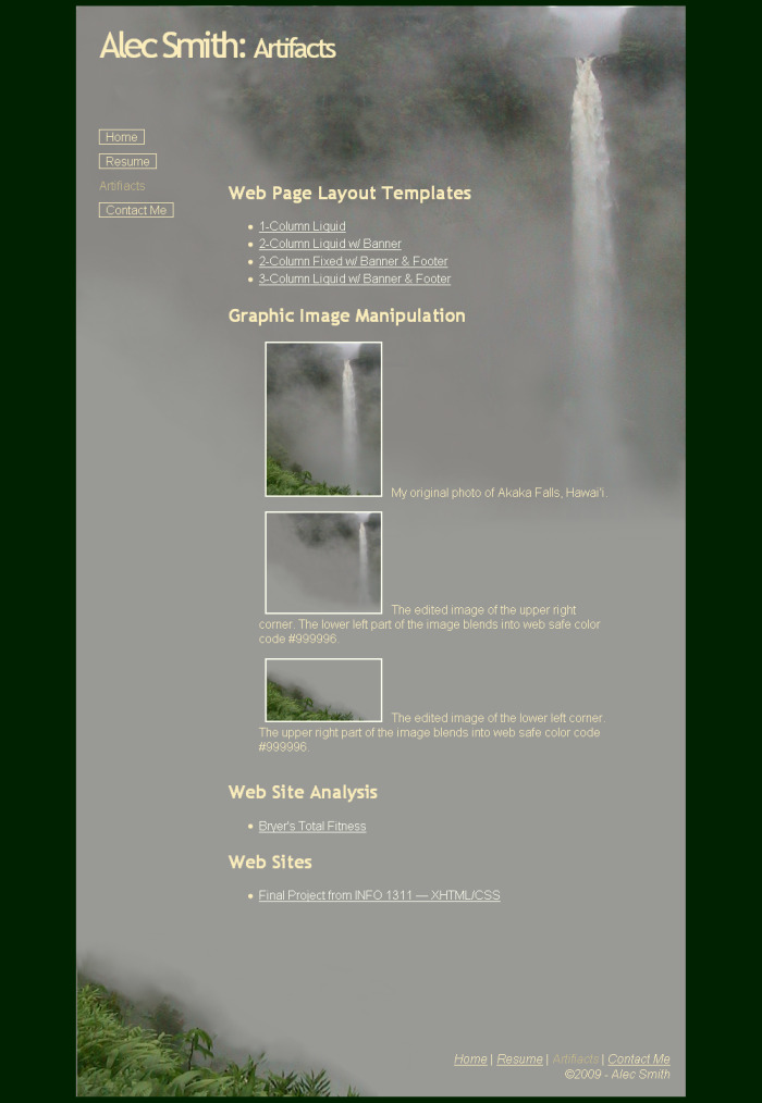 Student 2 Artifacts Page